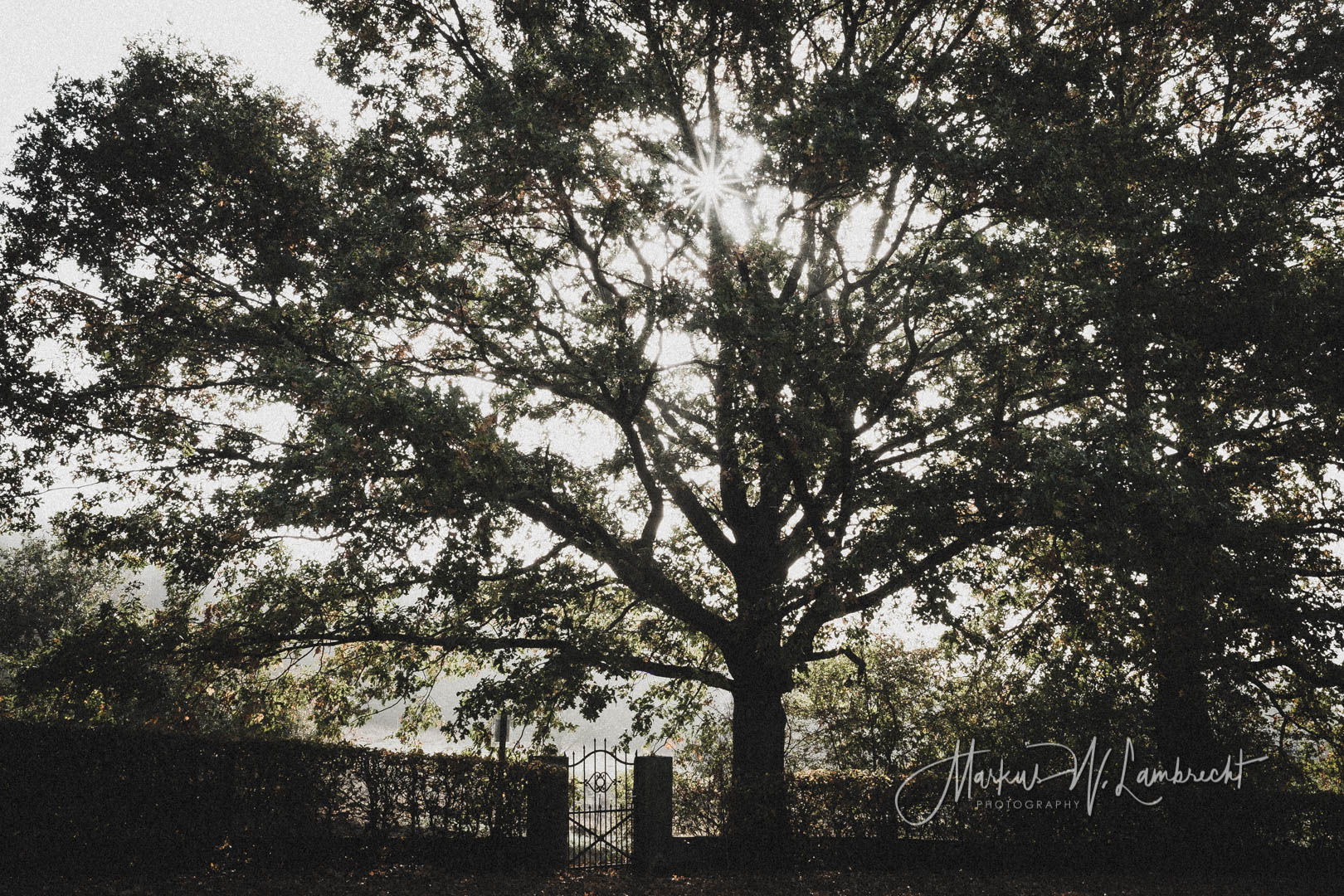 Langenschwarz, Jüdischer Friedhof